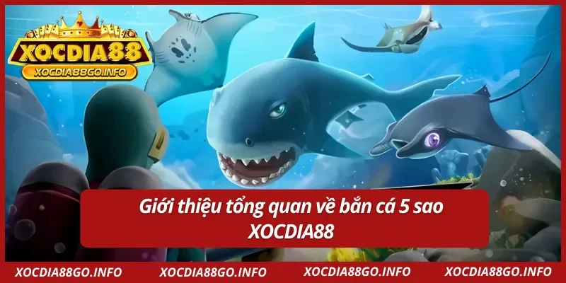 Giới thiệu về bắn cá 5 sao tại XOCDIA88