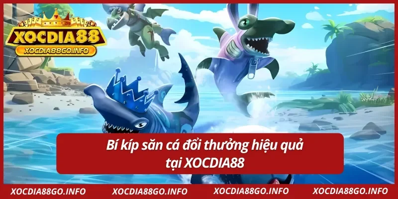 Bí kíp săn cá đổi thưởng hiệu quả