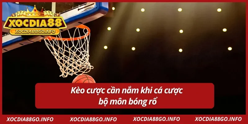 Kèo cược phổ biến khi cá cược bóng rổ