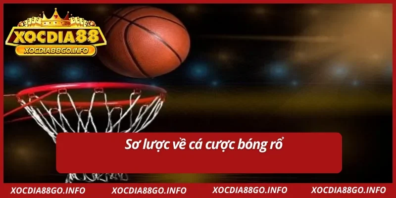 Tổng quan về cá cược bóng rổ