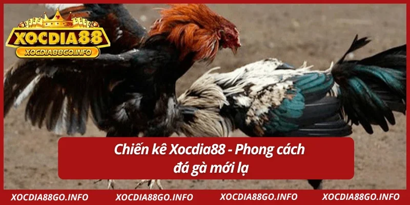 Đá Gà Xocdia88 sở hữu lối chơi cực lôi cuốn