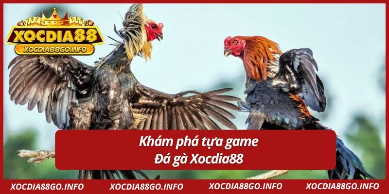 Tổng quan về tựa game Đá Gà Xocdia88