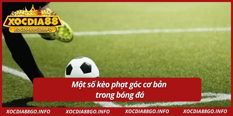 Các kèo chấm phạt góc được chơi nhiều nhất