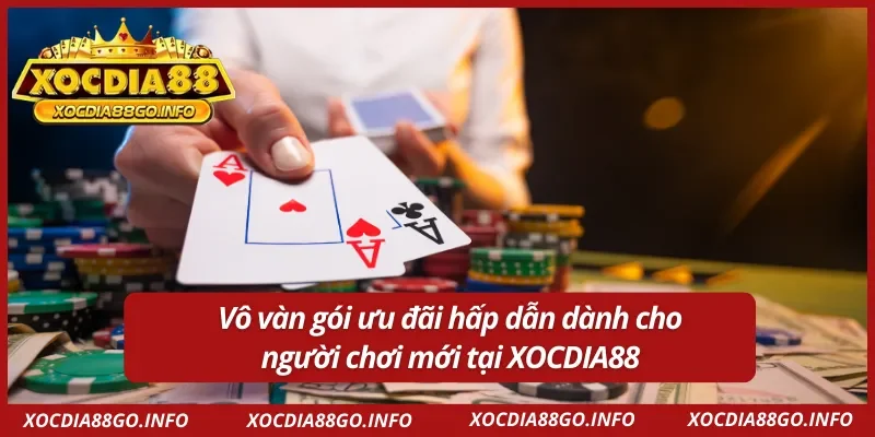 Các gói ưu đãi hấp dẫn dành cho người mới