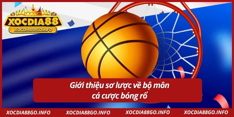 Tìm hiểu về bộ môn cá cược bóng rổ trực tuyến