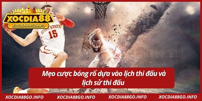 Mẹo cược bóng rổ dựa vào lịch trình và lịch sử thi đấu