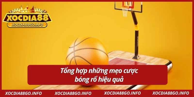 Những mẹo cược bóng rổ hữu ích người chơi cần nắm