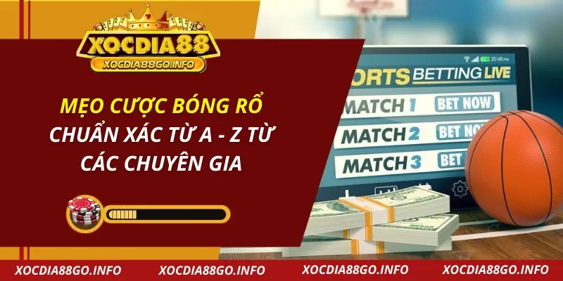 Mẹo Cược Bóng Rổ